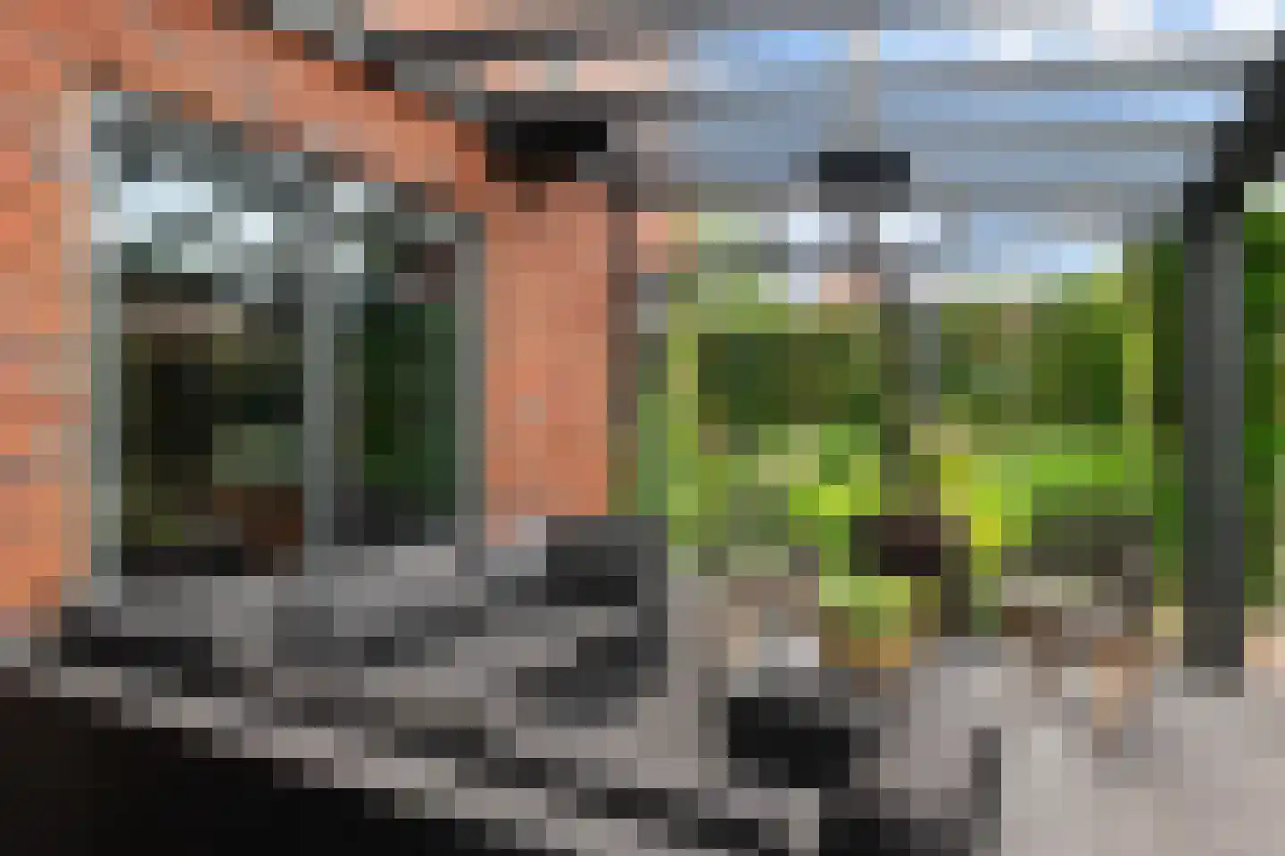De Bongerd 16 Scherpenzeel thumbnail 52
