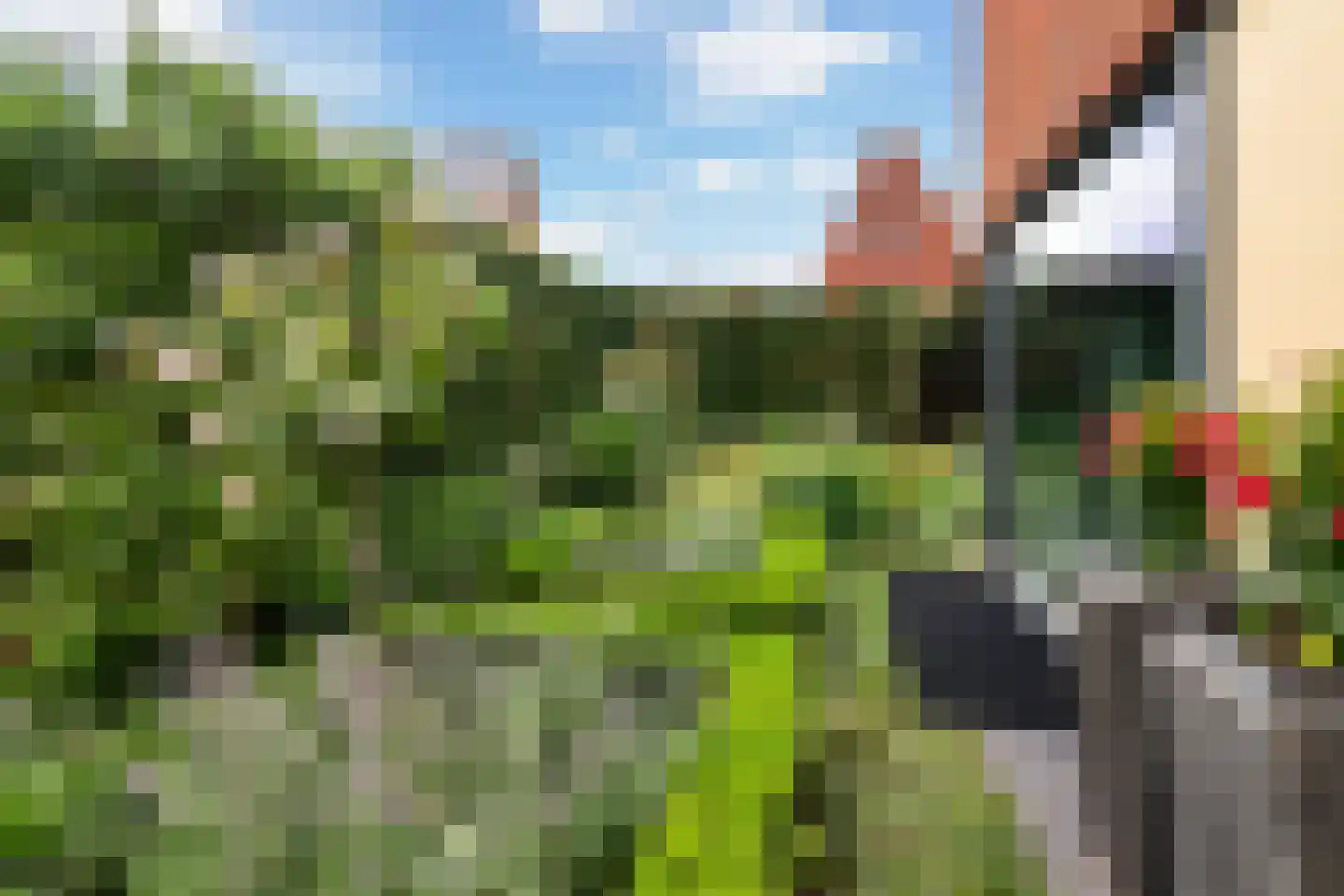 De Bongerd 16 Scherpenzeel thumbnail 53