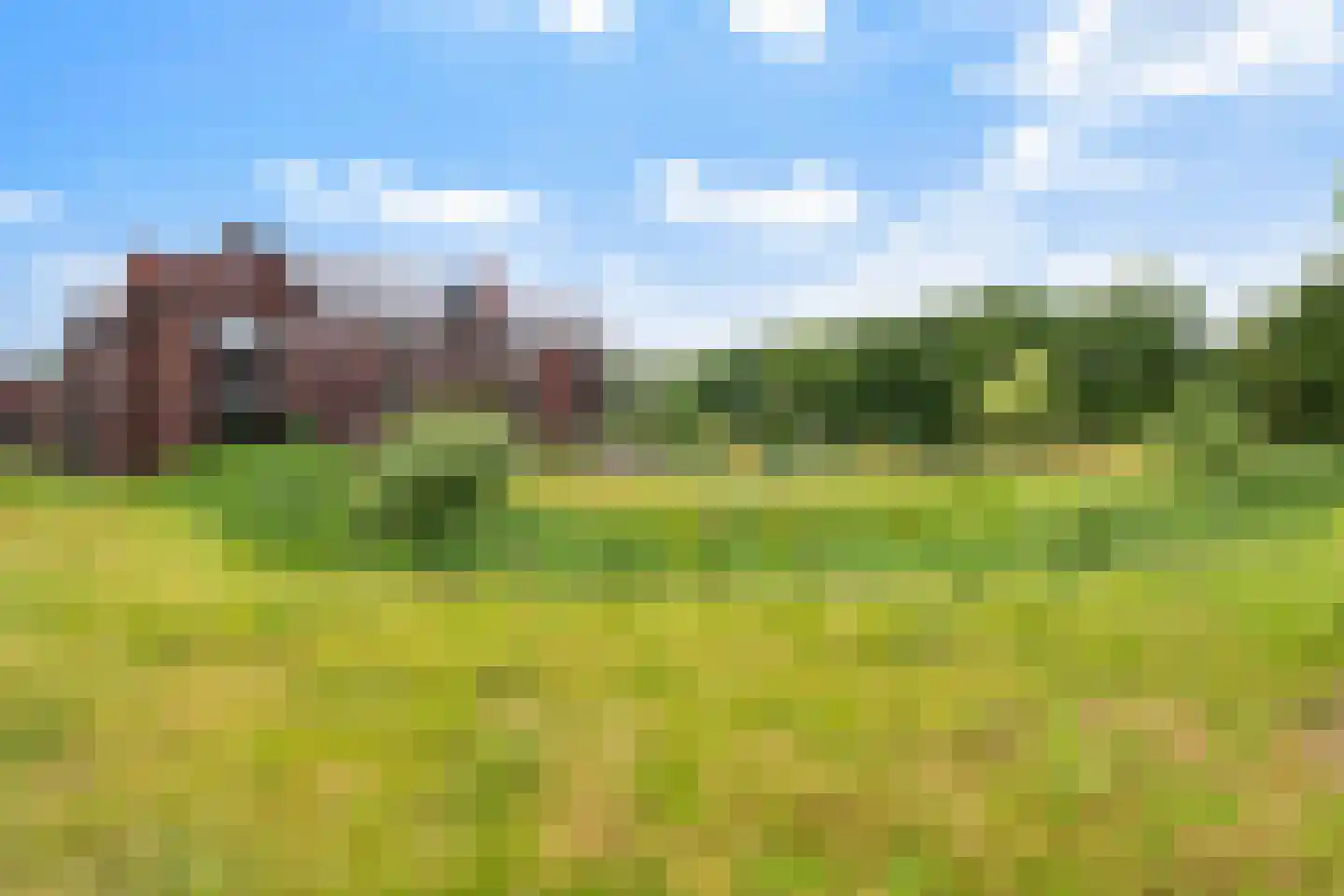 De Bongerd 16 Scherpenzeel thumbnail 54