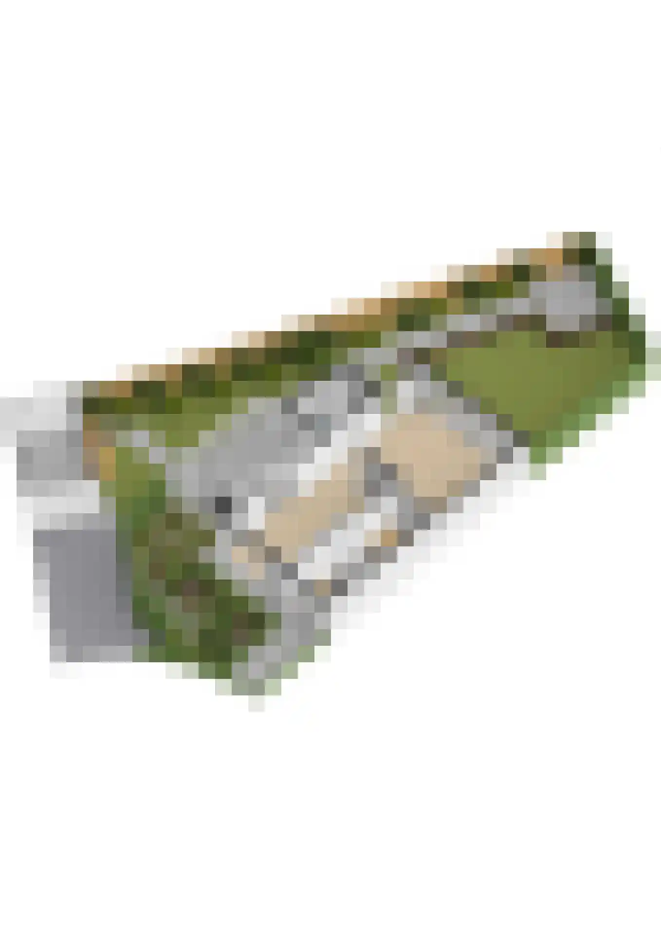 De Bongerd 16 Scherpenzeel thumbnail 69