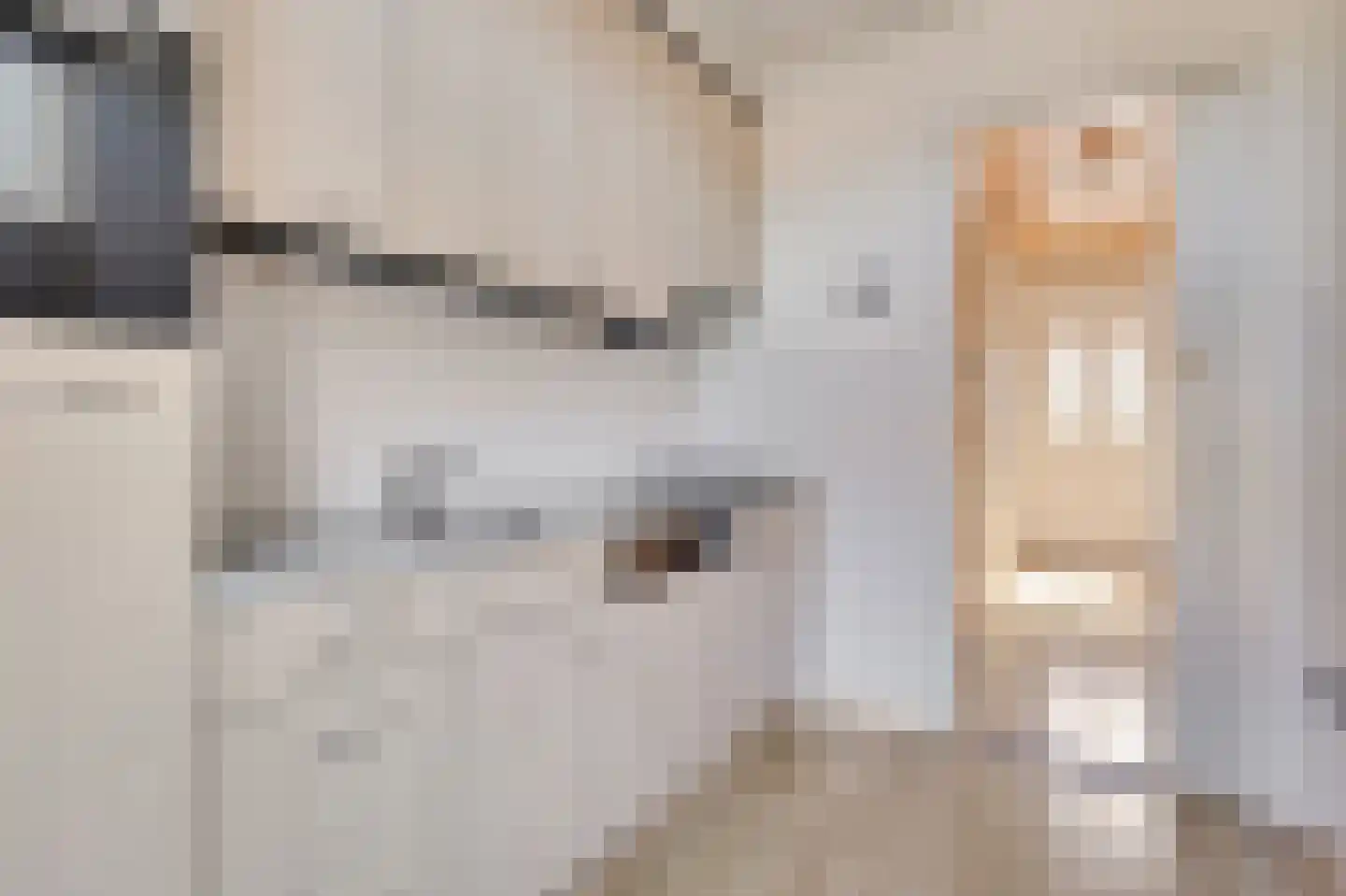 De Bongerd 18 Duiven thumbnail 17