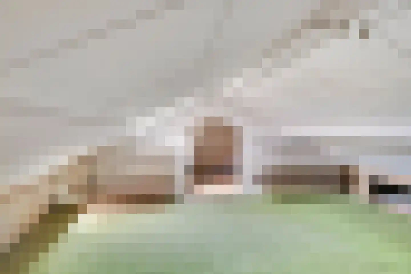 De Bongerd 18 Duiven thumbnail 28