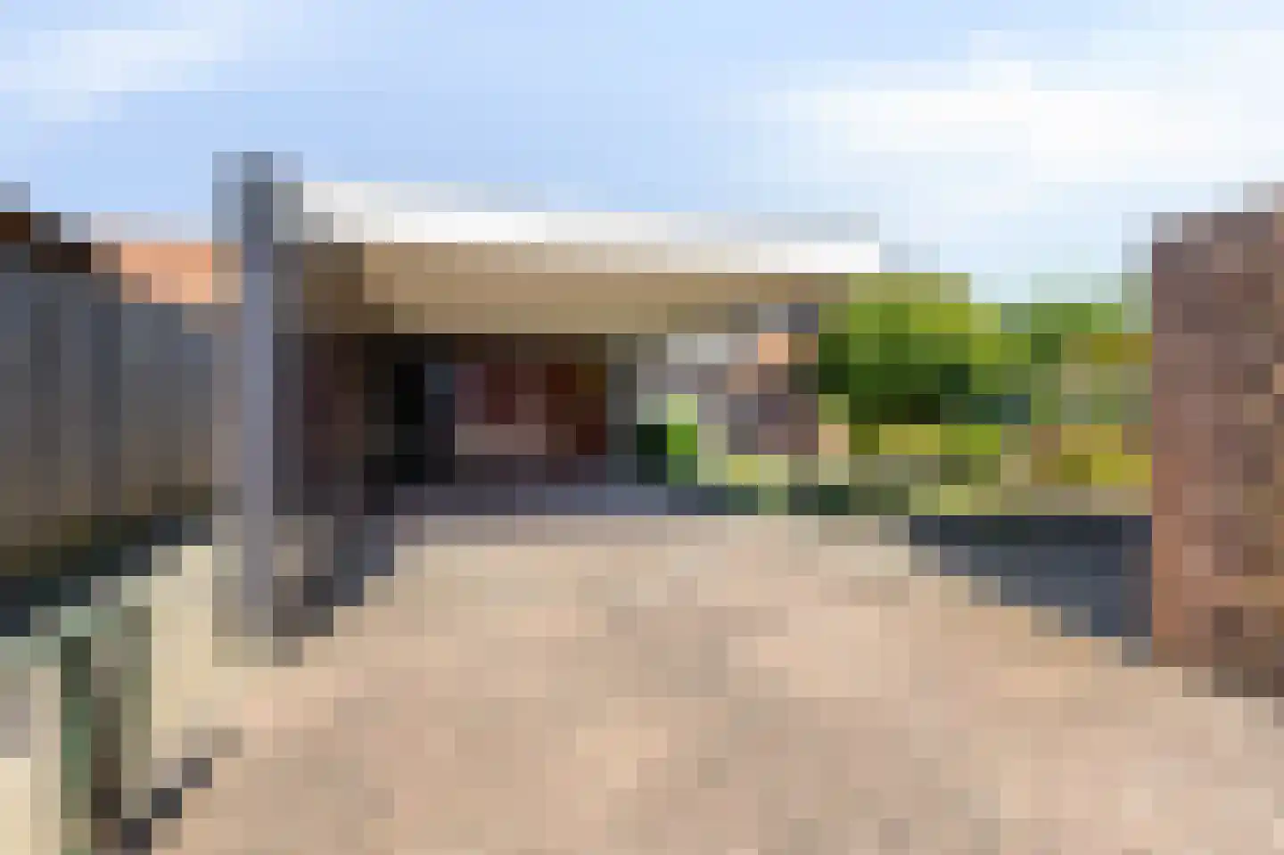 De Bongerd 18 Duiven thumbnail 36