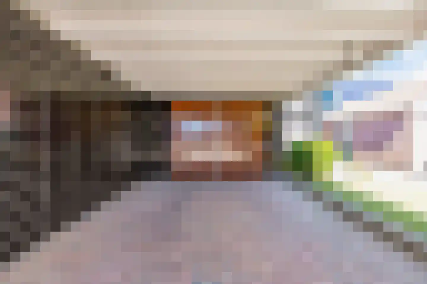 De Bongerd 18 Duiven thumbnail 37