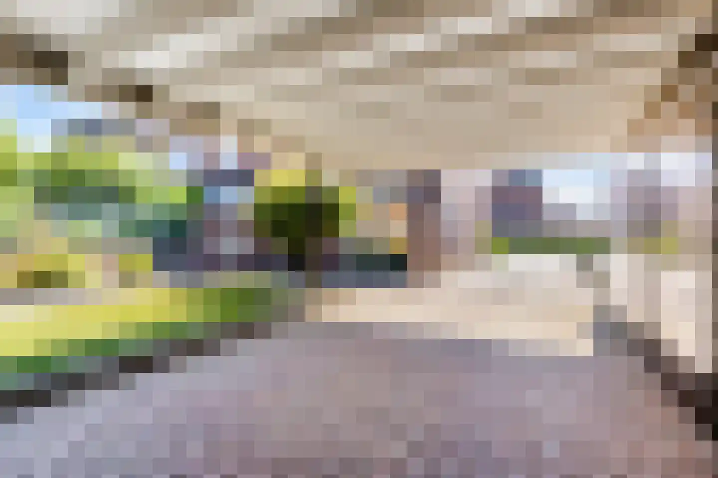 De Bongerd 18 Duiven thumbnail 38