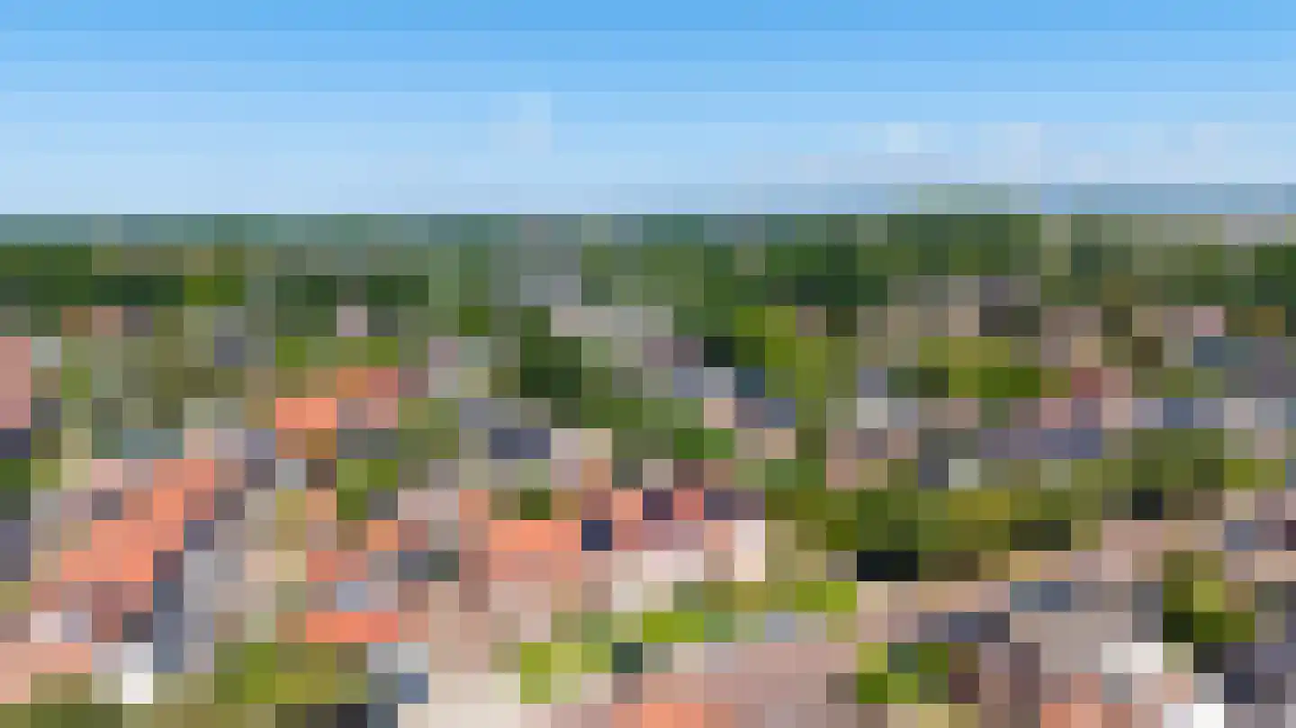De Bongerd 18 Duiven thumbnail 45