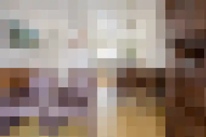 de Bongerd 20 Winssen thumbnail 15