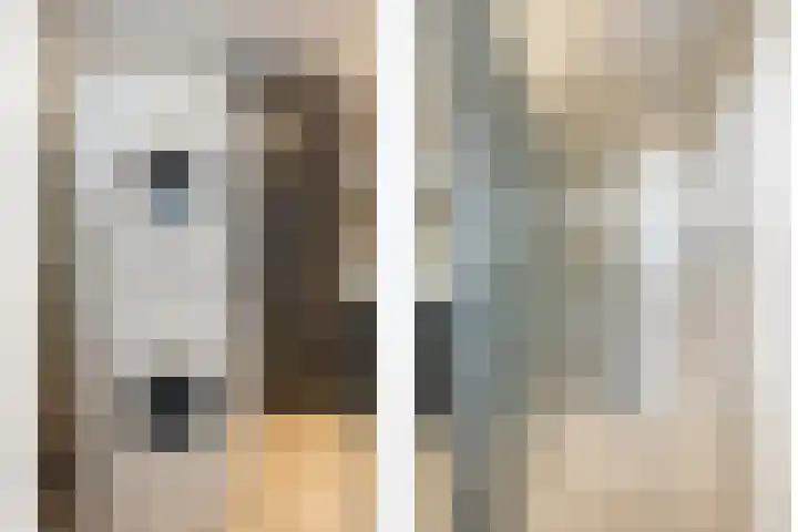 de Bongerd 20 Winssen thumbnail 24