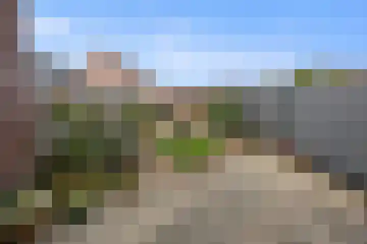 de Bongerd 20 Winssen thumbnail 35