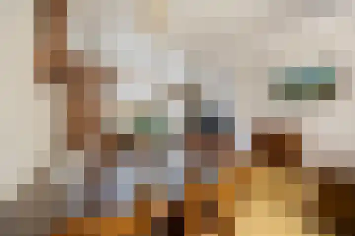 de Bongerd 20 Winssen thumbnail 9