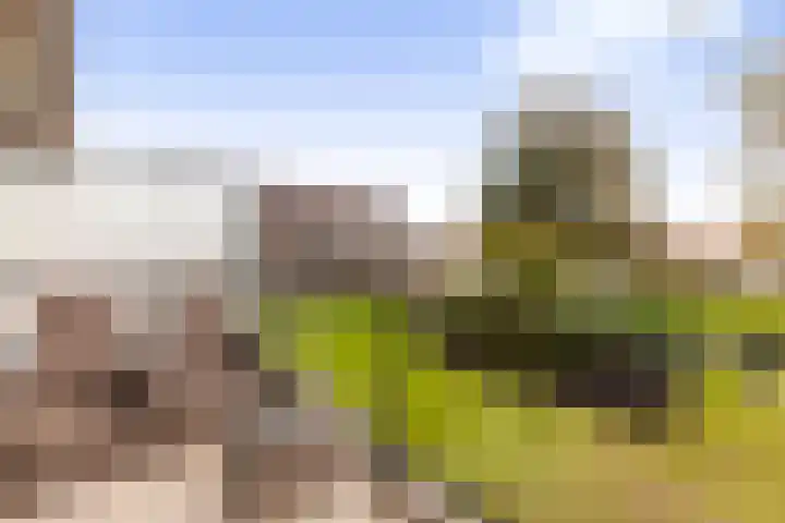 De Bongerd 25 Streefkerk thumbnail 10