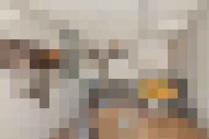 De Bongerd 25 Streefkerk thumbnail 11