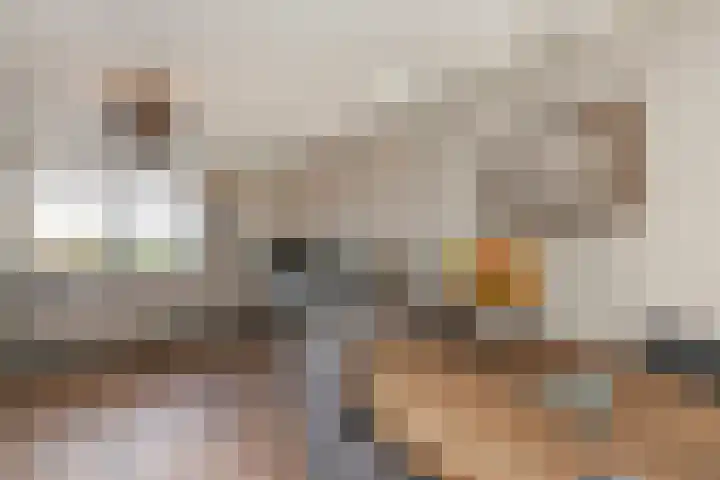 De Bongerd 25 Streefkerk thumbnail 12