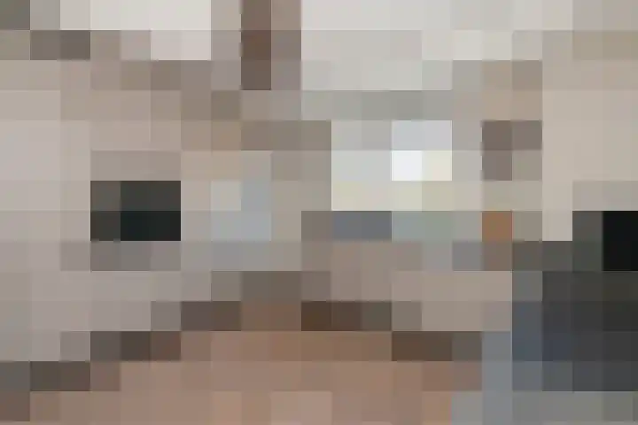 De Bongerd 25 Streefkerk thumbnail 13
