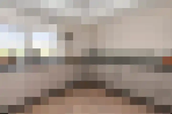De Bongerd 25 Streefkerk thumbnail 15
