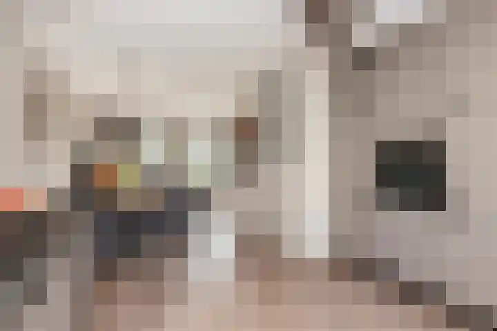 De Bongerd 25 Streefkerk thumbnail 17