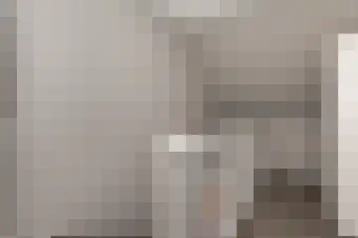 De Bongerd 25 Streefkerk thumbnail 19