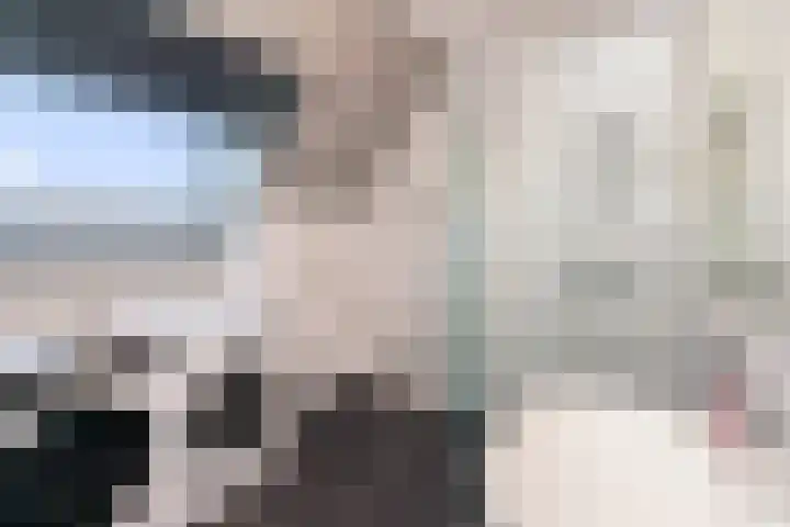 De Bongerd 25 Streefkerk thumbnail 24