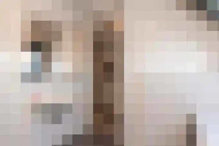 De Bongerd 25 Streefkerk thumbnail 25