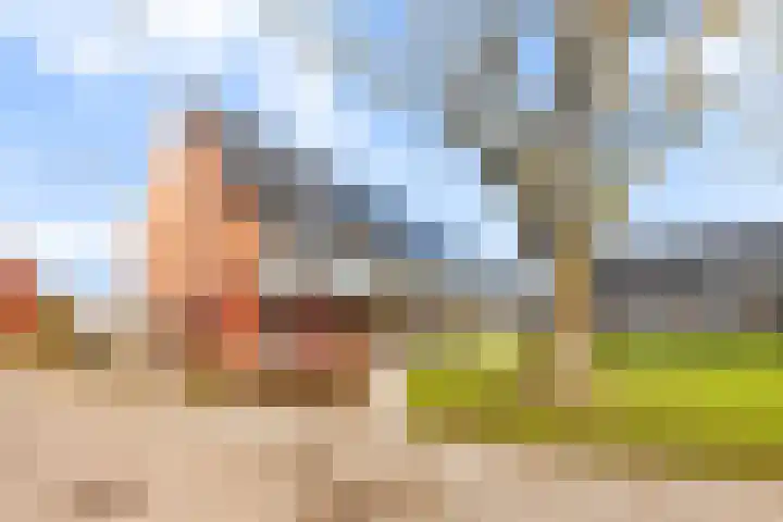 De Bongerd 25 Streefkerk thumbnail 26