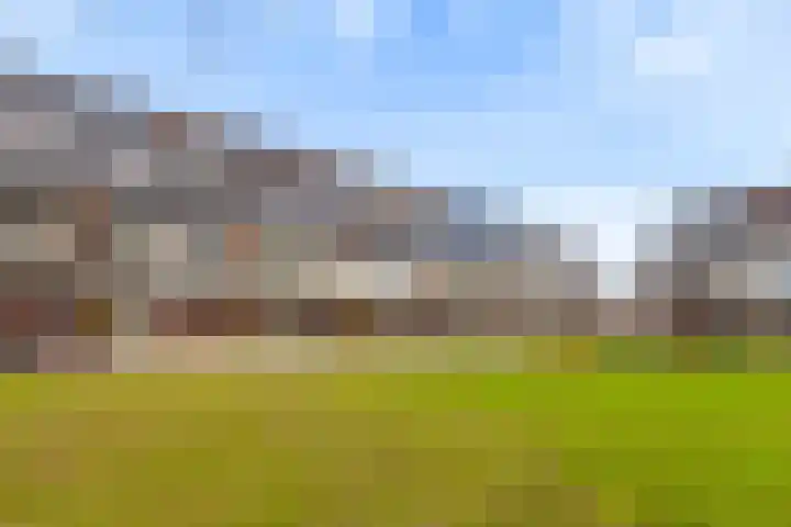 De Bongerd 25 Streefkerk thumbnail 27