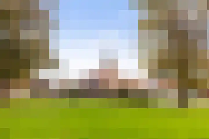 De Bongerd 25 Streefkerk thumbnail 29