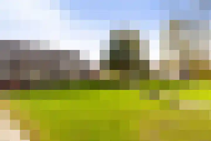De Bongerd 25 Streefkerk thumbnail 30