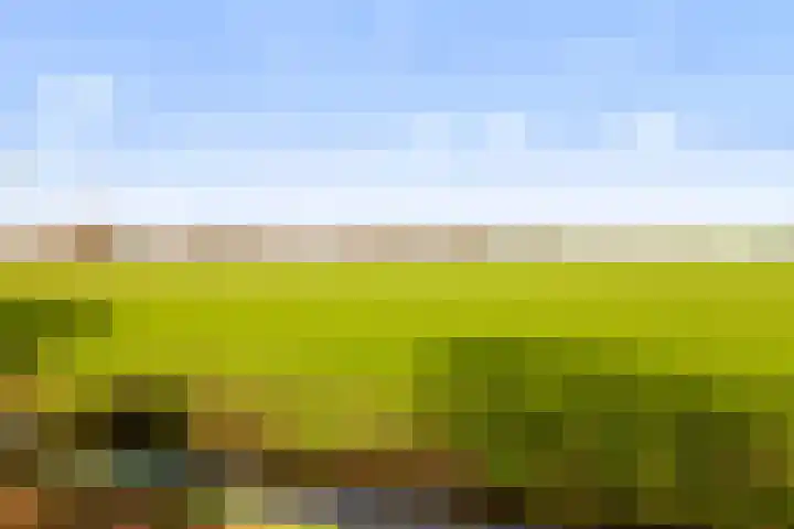 De Bongerd 25 Streefkerk thumbnail 32
