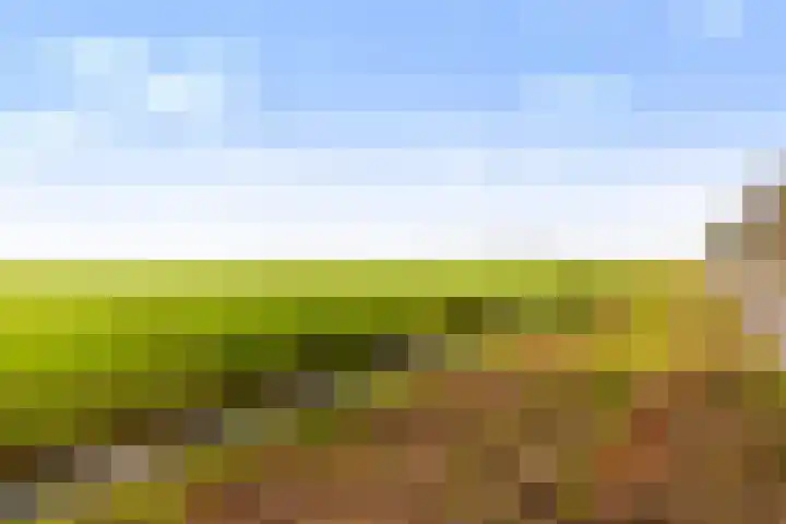 De Bongerd 25 Streefkerk thumbnail 33