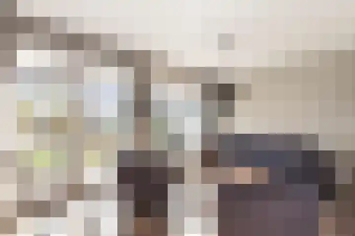De Bongerd 25 Streefkerk thumbnail 5