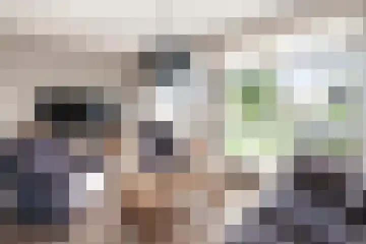 De Bongerd 25 Streefkerk thumbnail 7