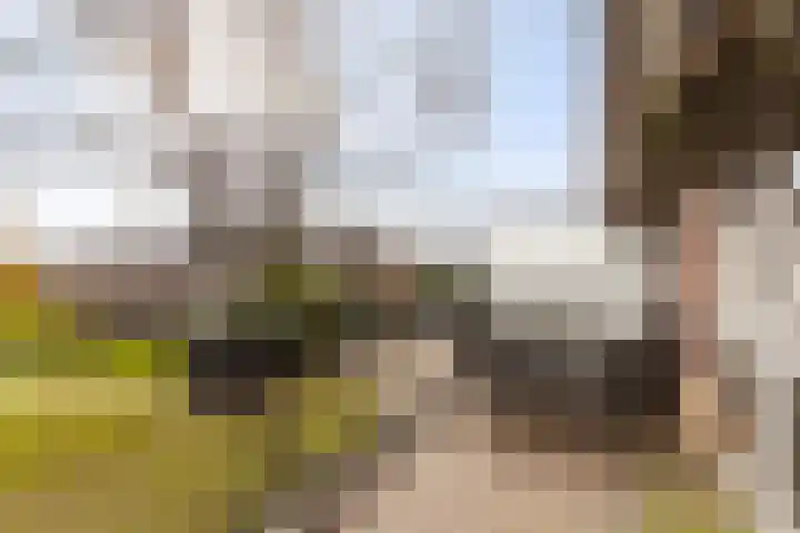 De Bongerd 25 Streefkerk thumbnail 9