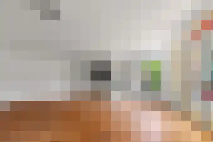 de Bongerd 27 Pannerden thumbnail 11
