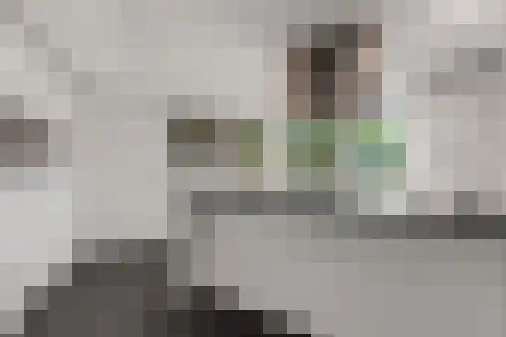 de Bongerd 27 Pannerden thumbnail 15