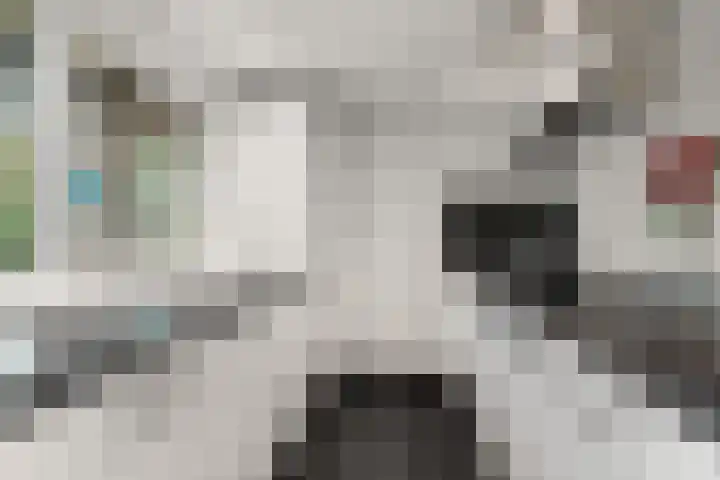 de Bongerd 27 Pannerden thumbnail 17