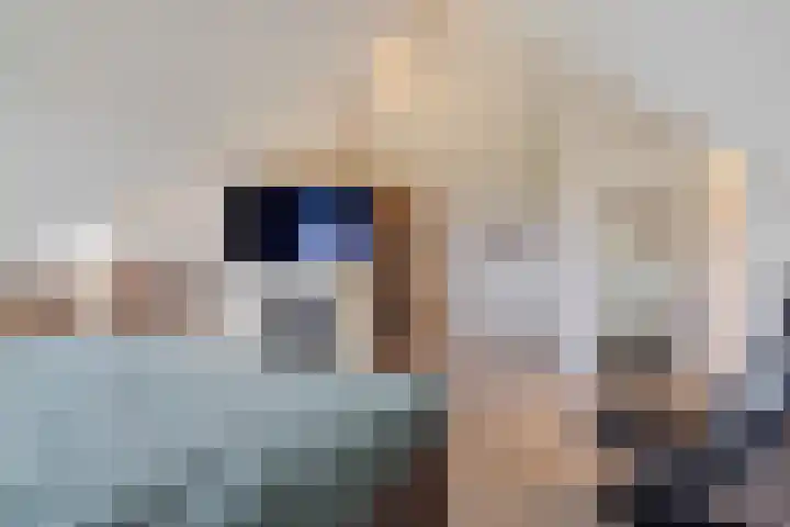 de Bongerd 27 Pannerden thumbnail 22