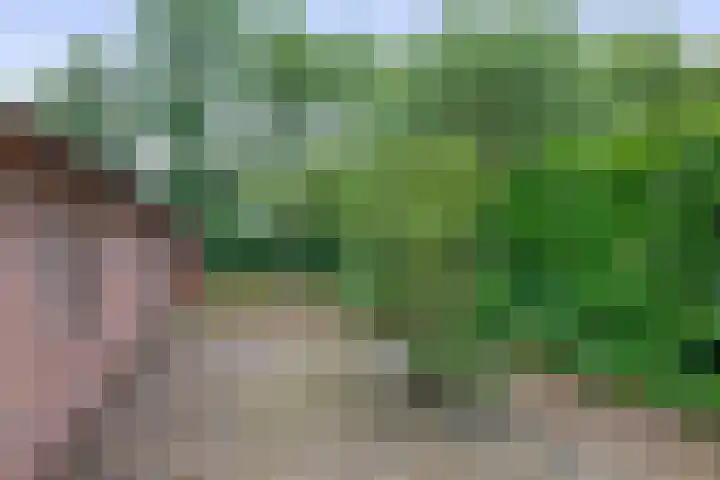 de Bongerd 27 Pannerden thumbnail 24