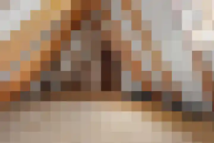 de Bongerd 27 Pannerden thumbnail 36