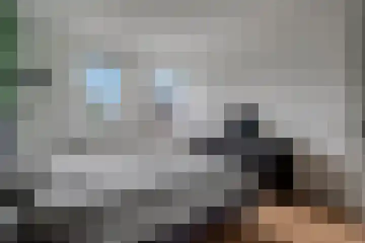 de Bongerd 27 Pannerden thumbnail 37
