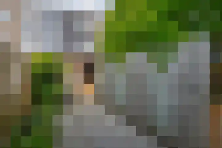 de Bongerd 27 Pannerden thumbnail 40