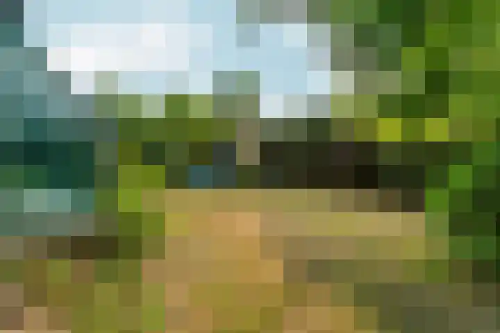de Bongerd 27 Pannerden thumbnail 43