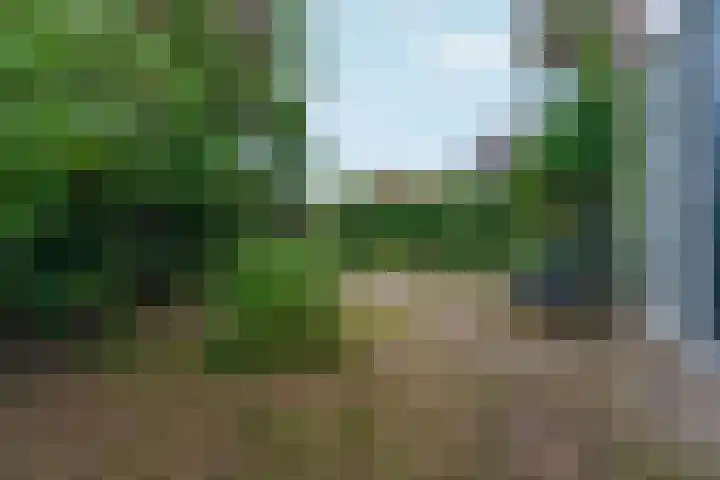 de Bongerd 27 Pannerden thumbnail 47
