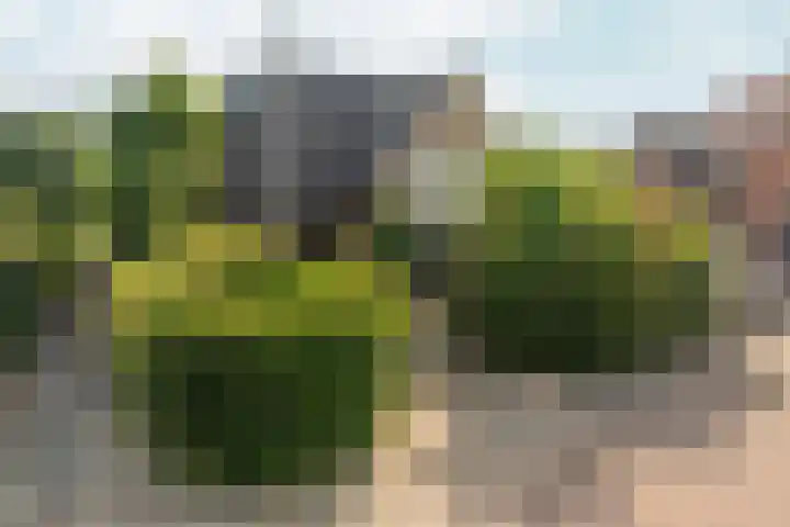 de Bongerd 27 Pannerden thumbnail 48