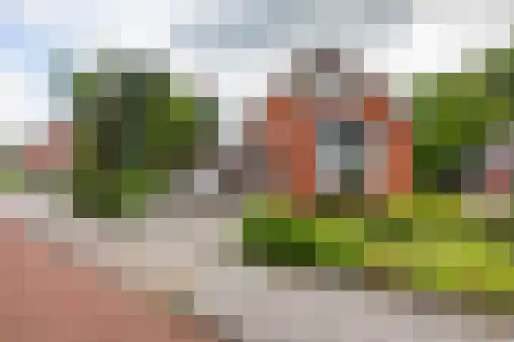 de Bongerd 27 Pannerden thumbnail 5