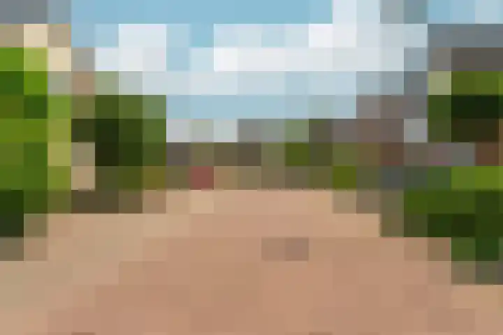 de Bongerd 27 Pannerden thumbnail 50