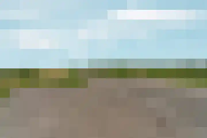 de Bongerd 27 Pannerden thumbnail 52