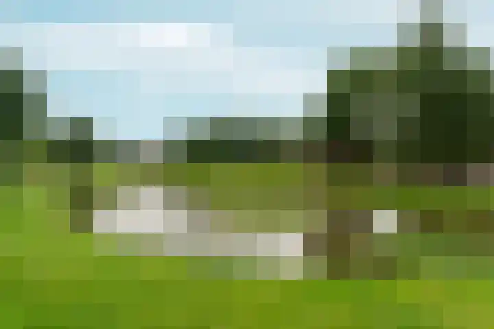 de Bongerd 27 Pannerden thumbnail 53