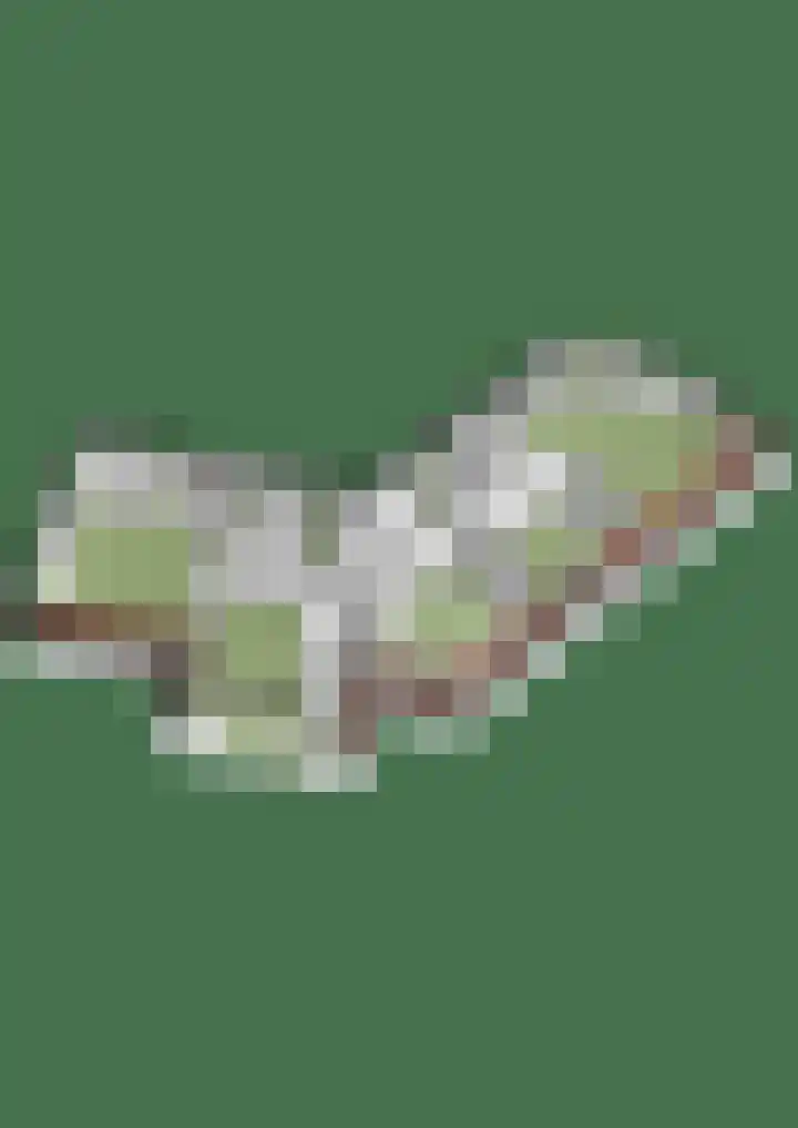 de Bongerd 27 Pannerden thumbnail 57