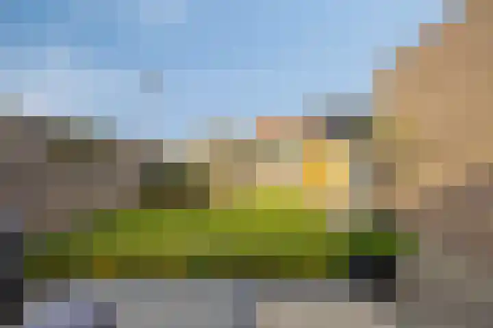 de Bongerd 27 Pannerden thumbnail 58