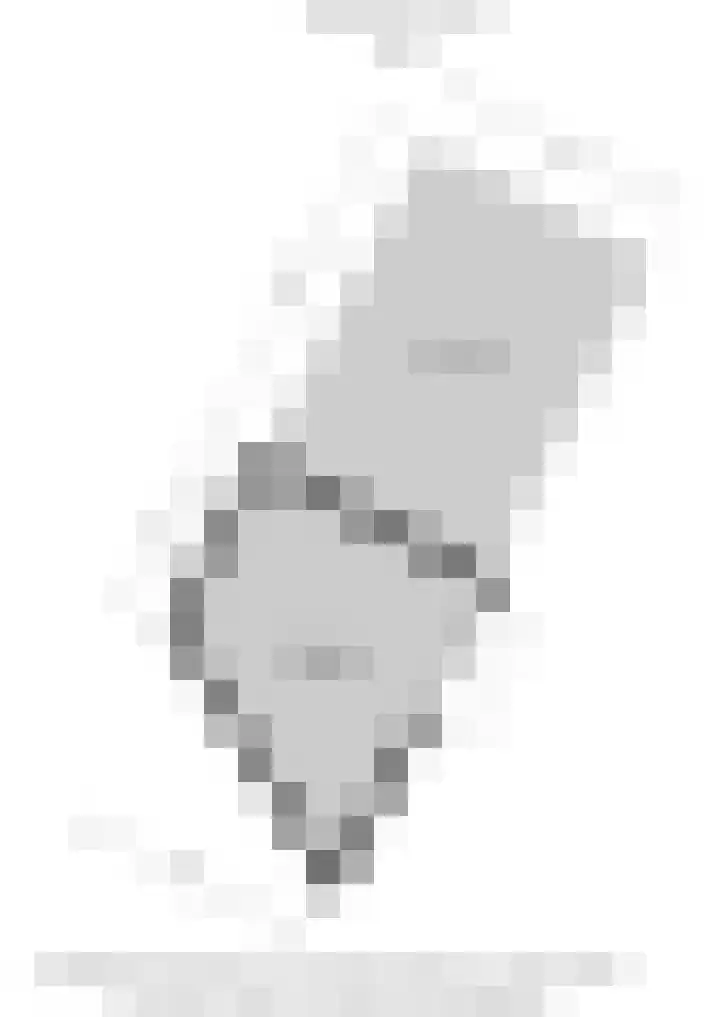 de Bongerd 27 Pannerden thumbnail 60